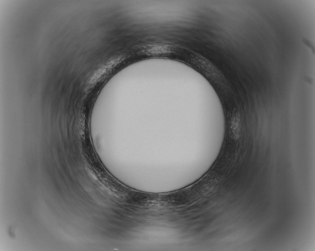 X0000103140732200809121753