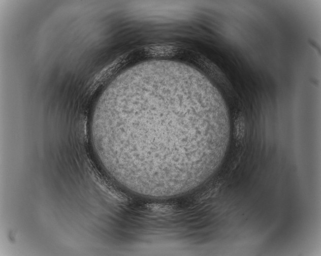 X0000103140733200809121753