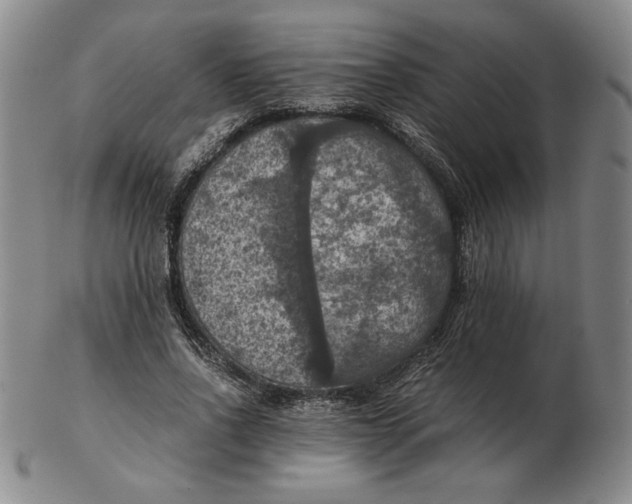 X0000103140734200809121753