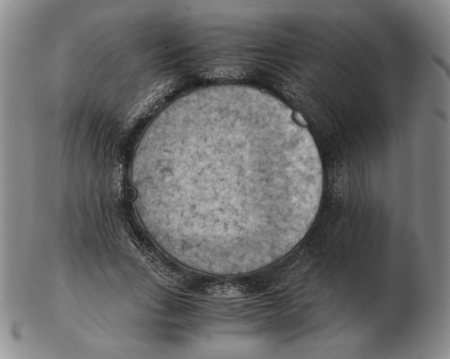 X0000103140735200809121753