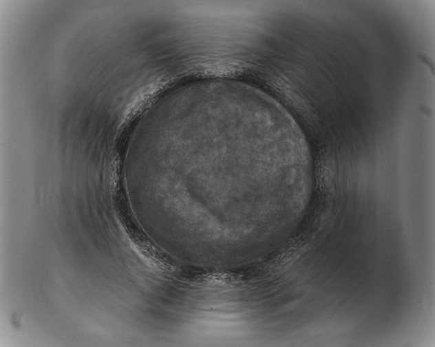 X0000103140736200809121753