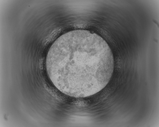 X0000103140738200809121753