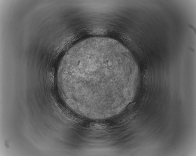 X0000103140739200809121753