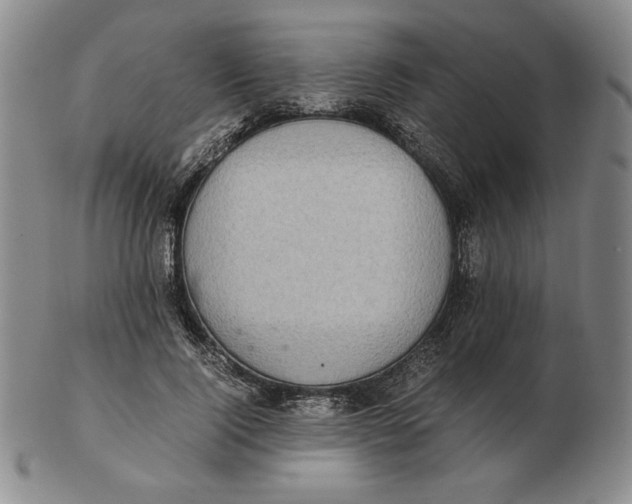 X0000103140740200809121753