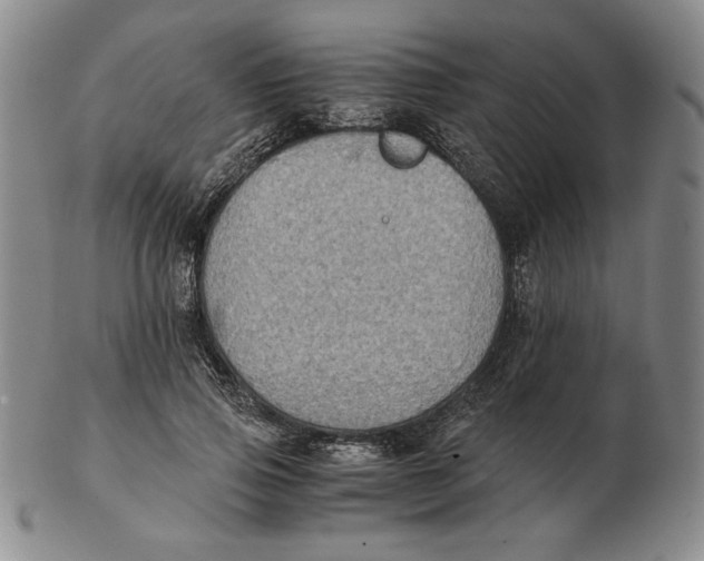 X0000103140741200809121753