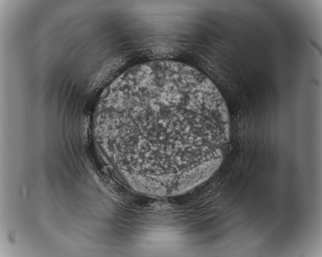 X0000103140742200809121753