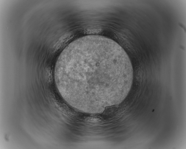 X0000103140743200809121753