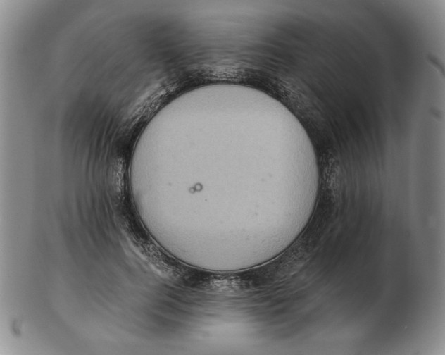 X0000103140744200809121753