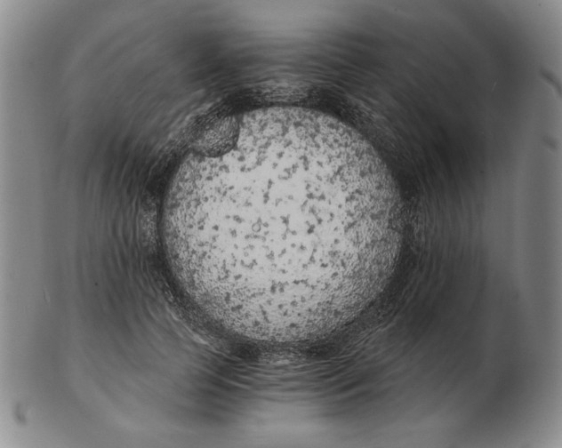 X0000103140745200809121753