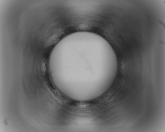 X0000103140746200809121753