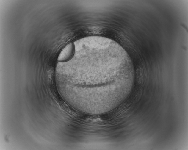 X0000103140747200809121753