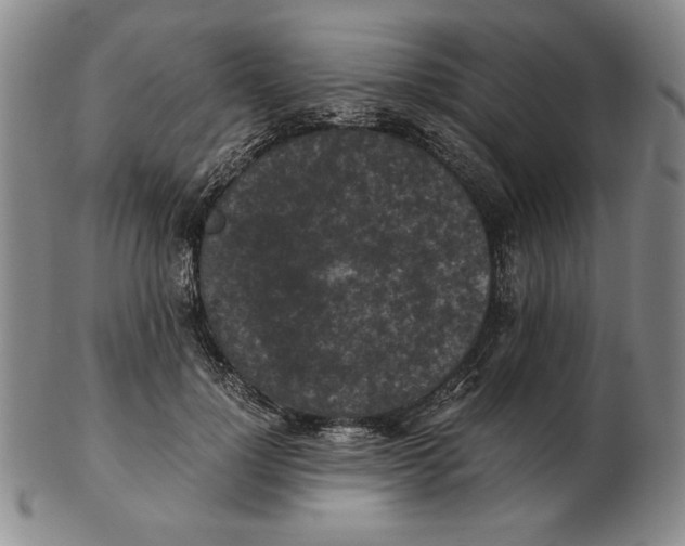 X0000103140748200809121753