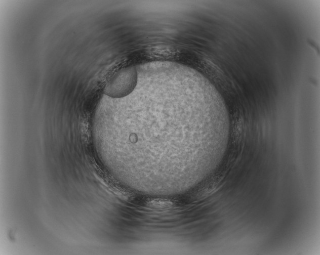 X0000103140749200809121753