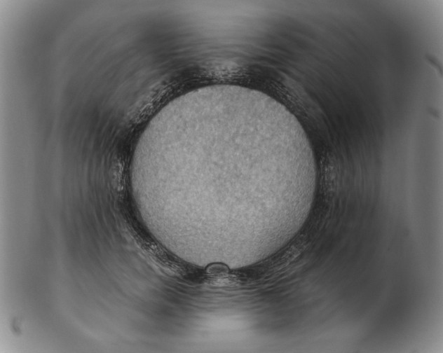 X0000103140750200809121753