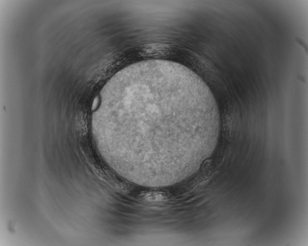 X0000103140751200809121753