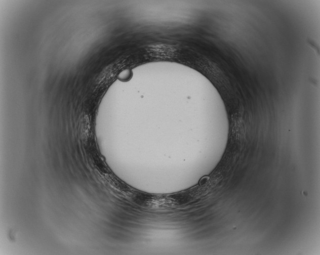 X0000103140752200809121754