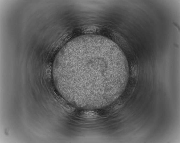 X0000103140753200809121754