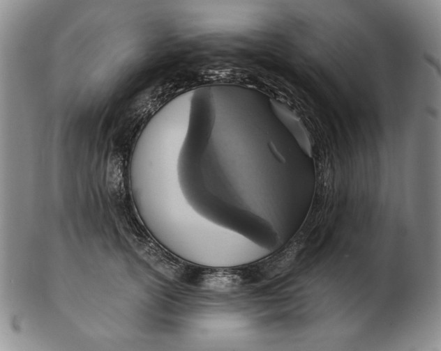 X0000103140754200809121754