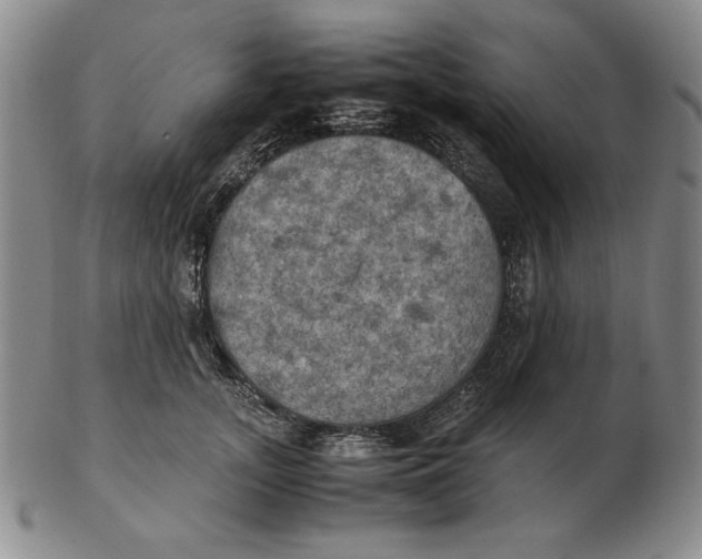 X0000103140755200809121754