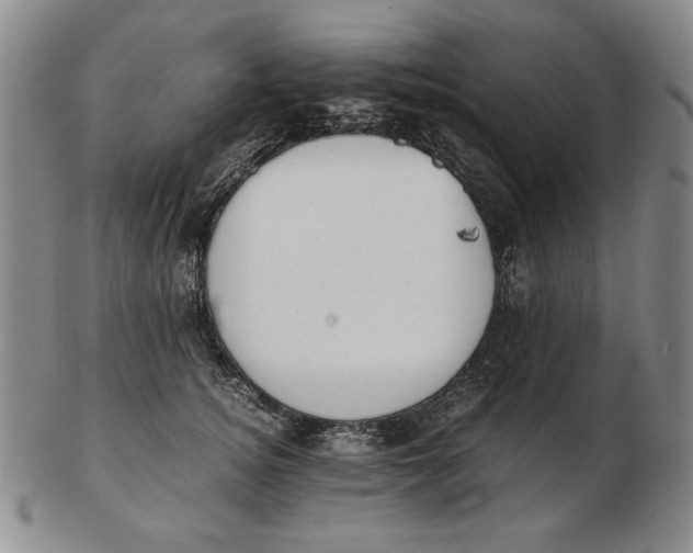 X0000103140756200809121754