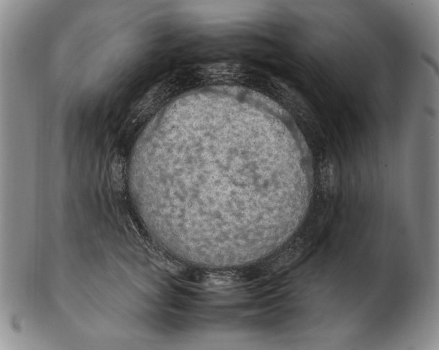 X0000103140757200809121754