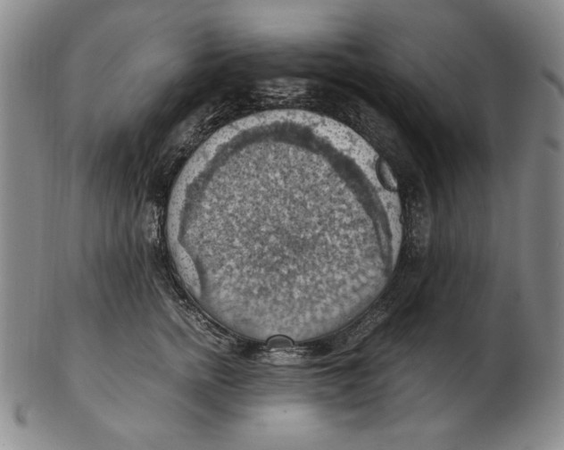 X0000103140758200809121754