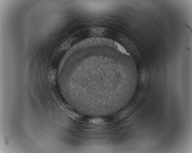 X0000103140759200809121754