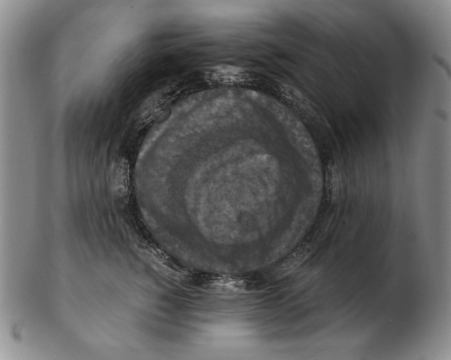 X0000103140760200809121754