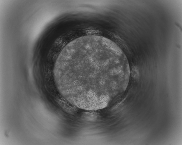 X0000103140763200809121754