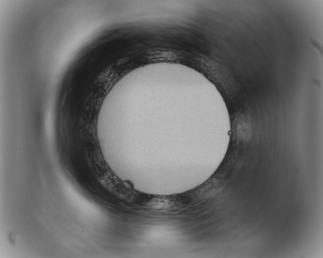 X0000103140764200809121754