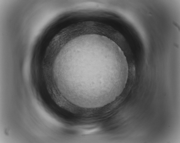 X0000103140765200809121754