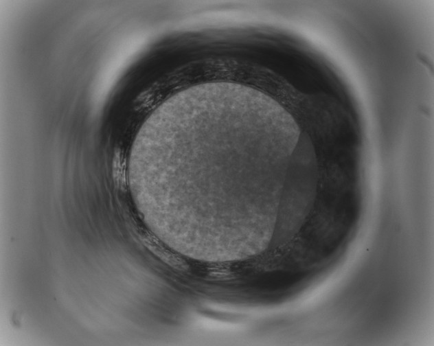 X0000103140766200809121754