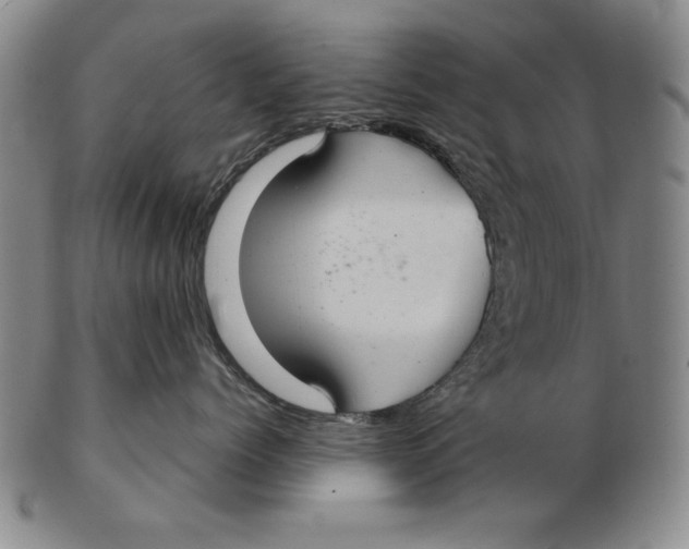 X0000103140768200809121754