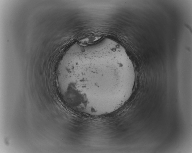 X0000103140769200809121753