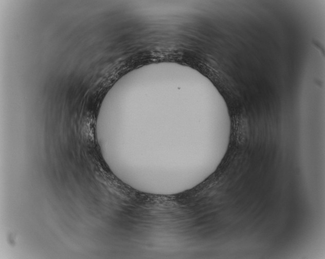 X0000103140770200809121753