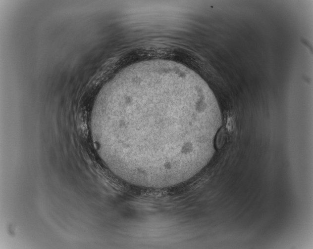 X0000103140771200809121753