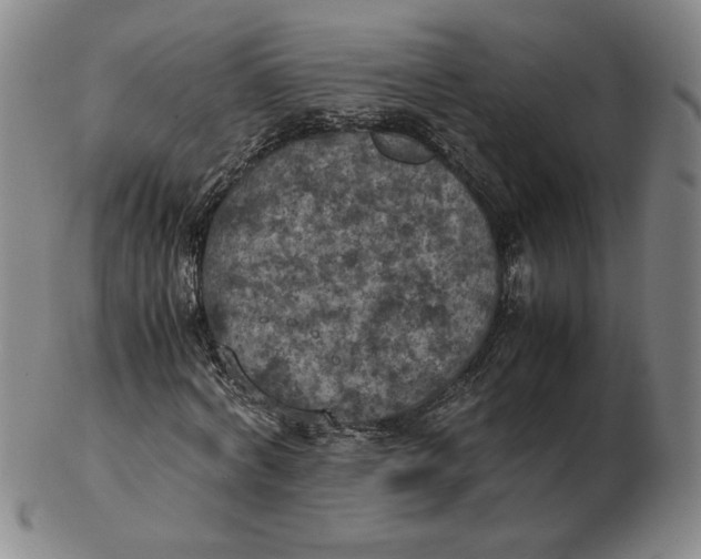 X0000103140772200809121753