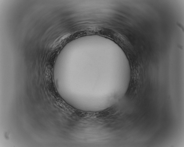 X0000103140773200809121753