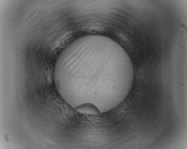 X0000103140774200809121753