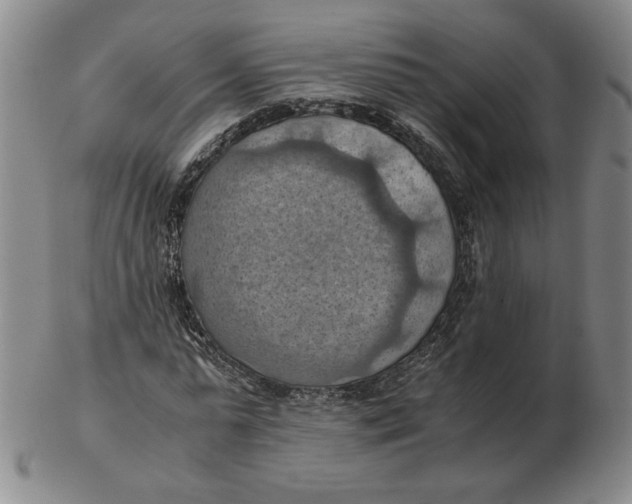 X0000103140775200809121753