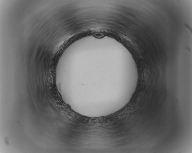 X0000103140776200809121753