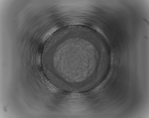 X0000103140777200809121753