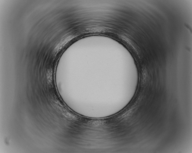 X0000103140778200809121753