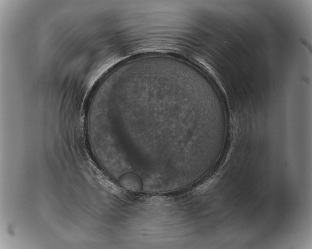 X0000103140779200809121753