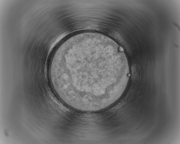 X0000103140780200809121753