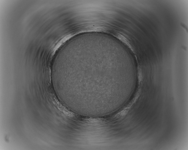 X0000103140781200809121753