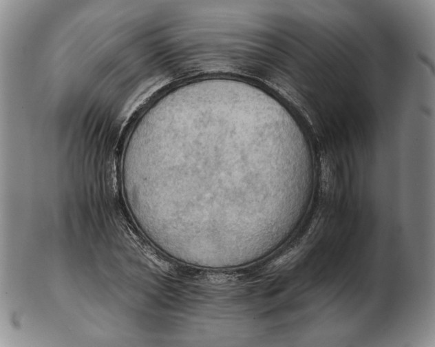 X0000103140782200809121753