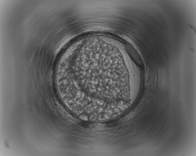 X0000103140783200809121753