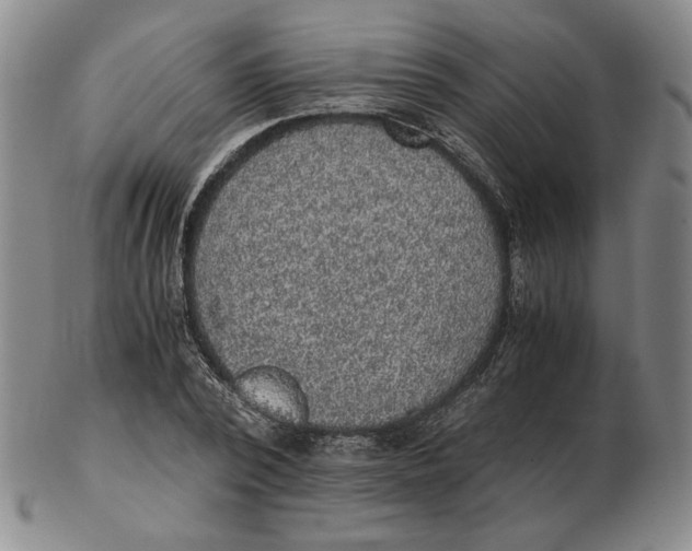 X0000103140784200809121753