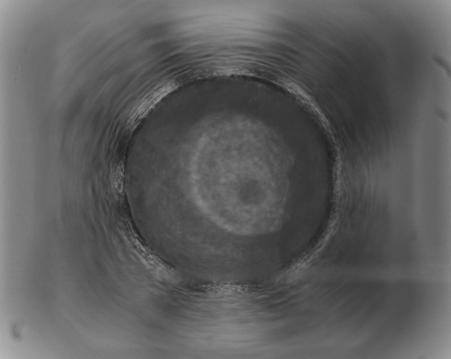 X0000103140785200809121753